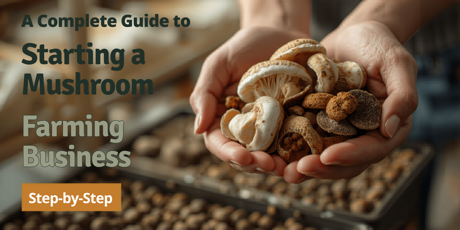 Complete Guide to Starting a Mushroom Farming Business