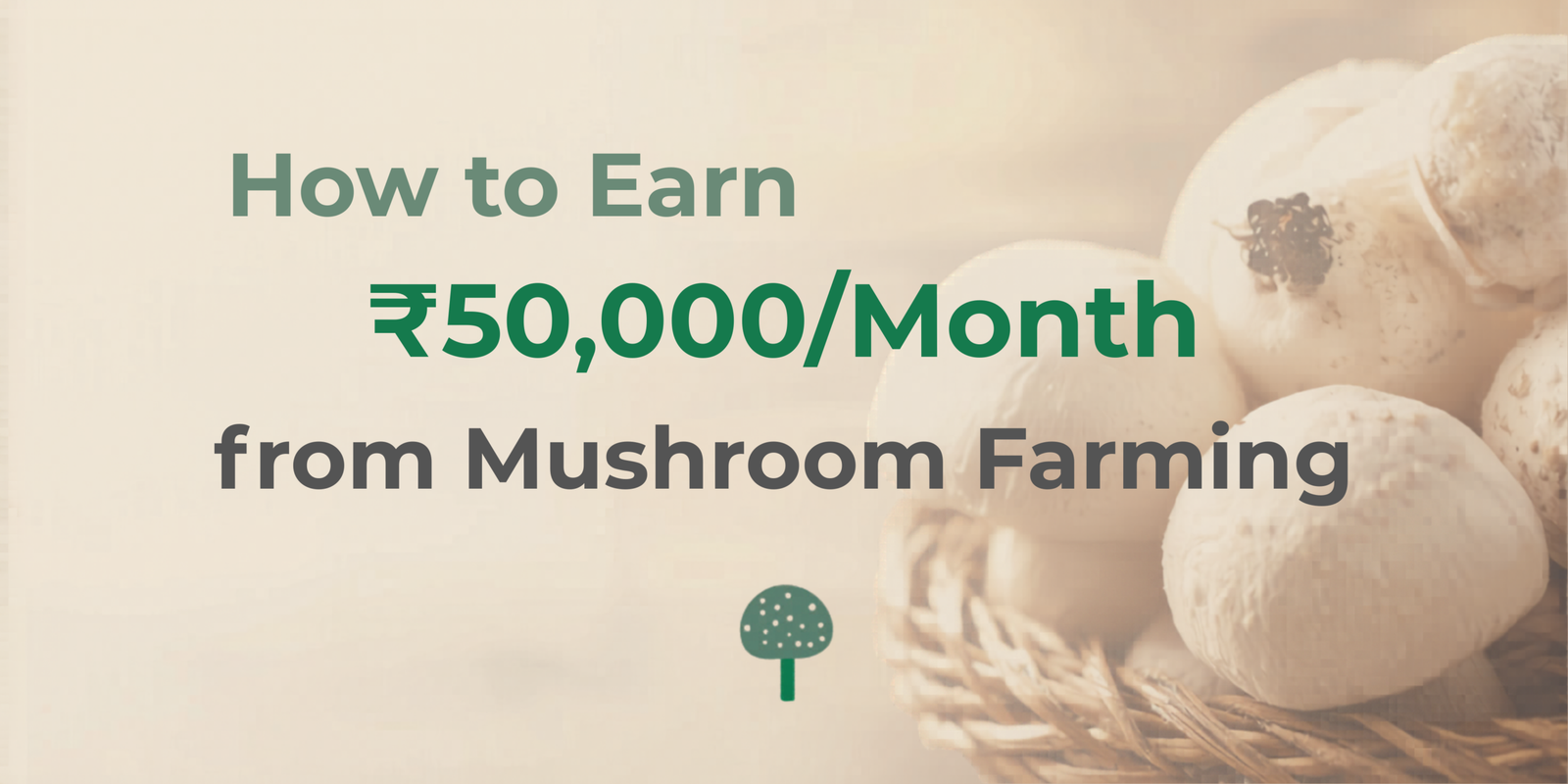 How to Earn ₹50,000/Month from Mushroom Farming
